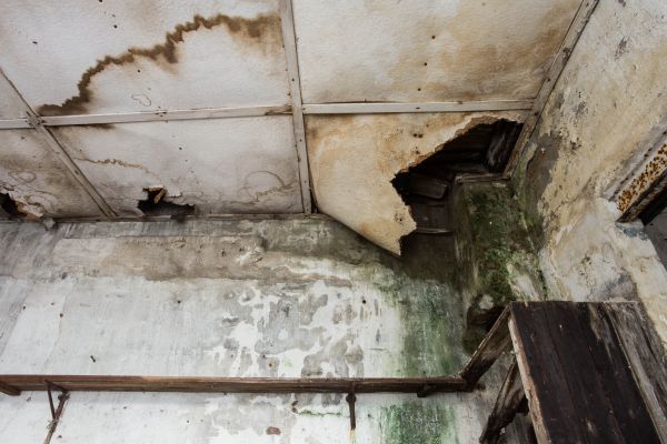 Water Damage Service in Bellevue