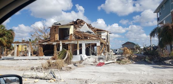 Disaster Cleanup Service in Bellevue