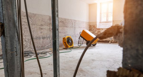 Basement Water Damage Repair in Bellevue