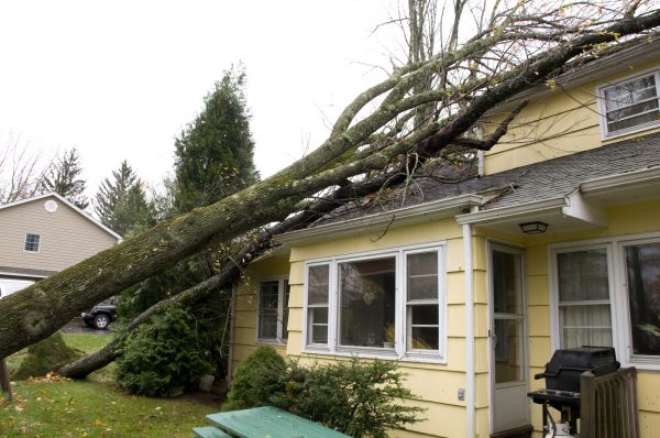 Hurricane Damage Repair in Bellevue